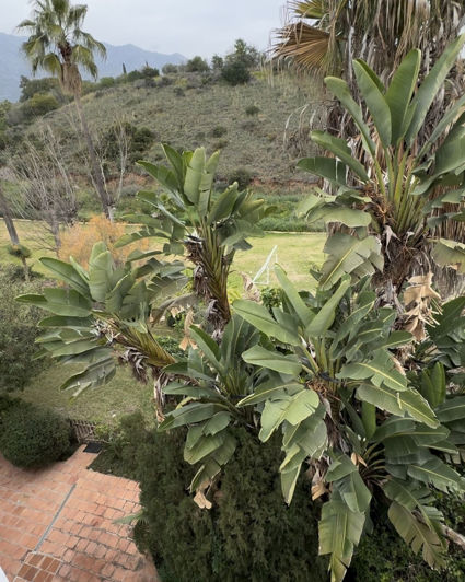 Image No.26-5 Bed Property for sale