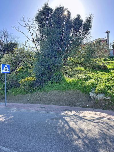 Image No.3-Propriété à vendre à Estepona