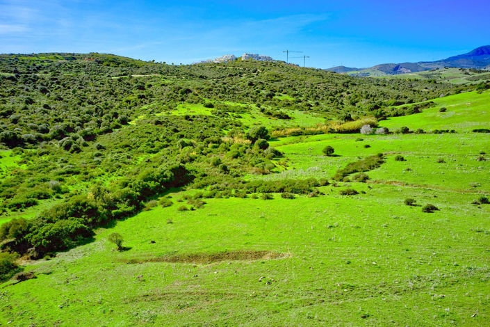 Image No.19-3 Bed Property for sale