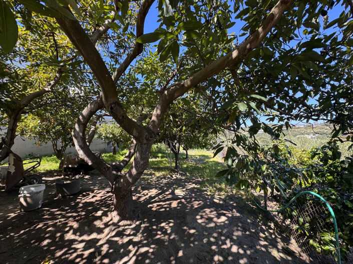 Image No.33-4 Bed Property for sale