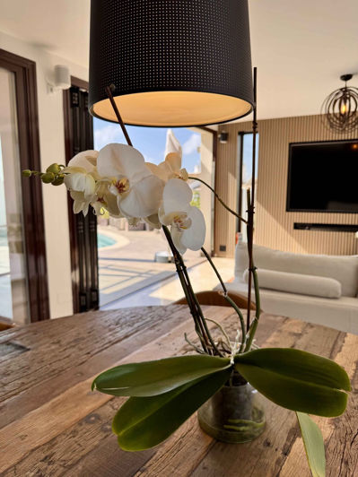 Image No.19-5 Bed Property for sale