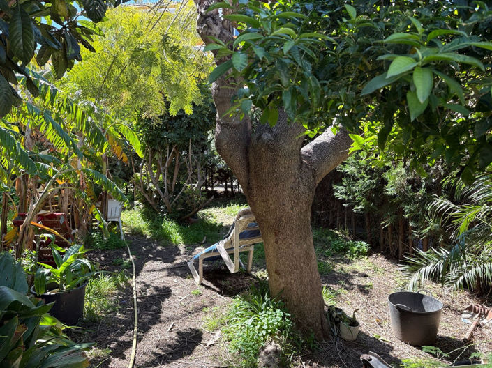 Image No.10-Propriété de 5 chambres à vendre à Estepona