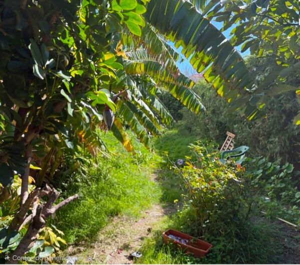 Image No.7-Propriété de 5 chambres à vendre à Estepona