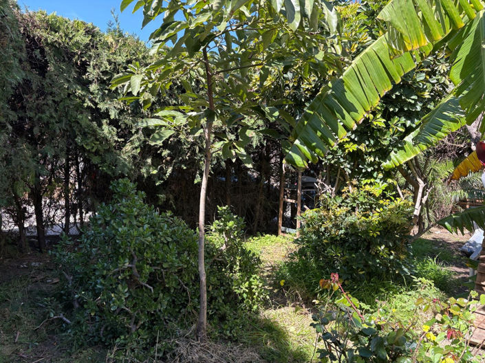 Image No.9-Propriété de 5 chambres à vendre à Estepona