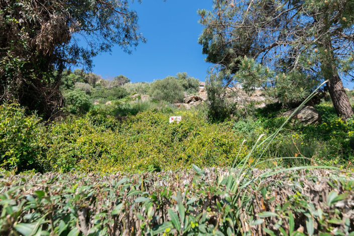 Image No.11-Property for sale