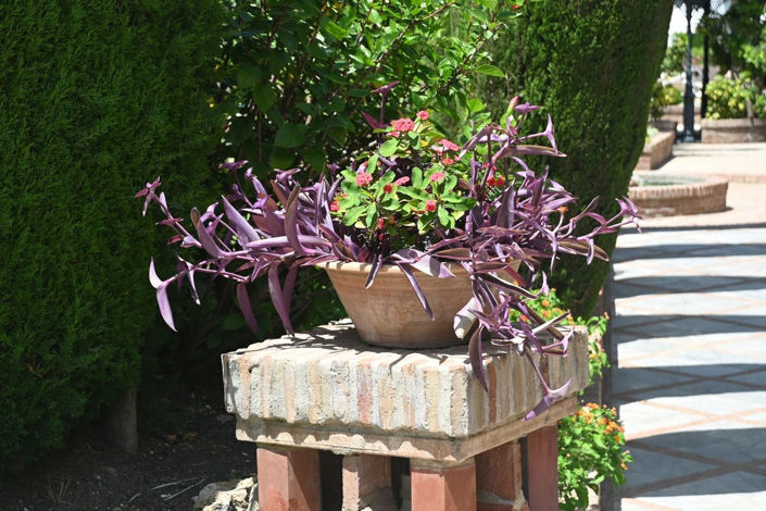 Image No.44-Propriété de 2 chambres à vendre à Marbella