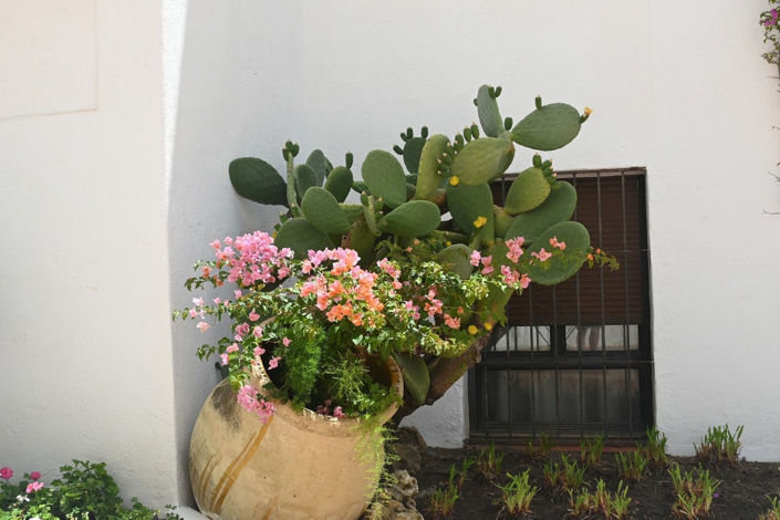 Image No.7-Propriété de 2 chambres à vendre à Marbella