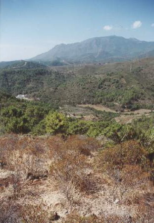 Image No.15-Property for sale