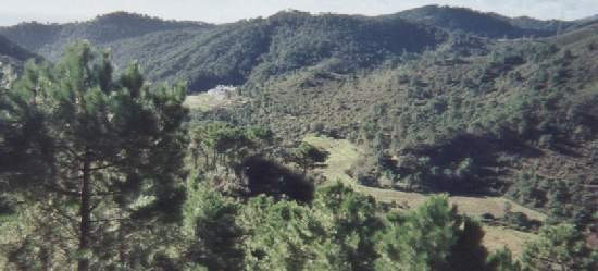 Image No.18-Property for sale