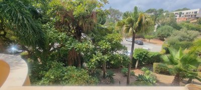 74991whatsappimage2025-08-23at131750108905820