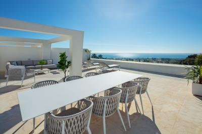 spca_visual_marbella__MG_2832-Edit