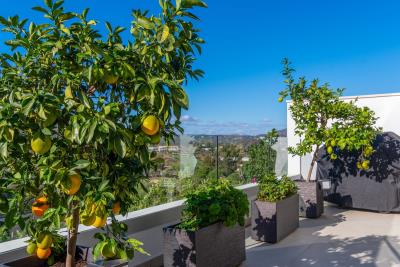 1-7980e48d732b6fc85c14b43b94d2aa54