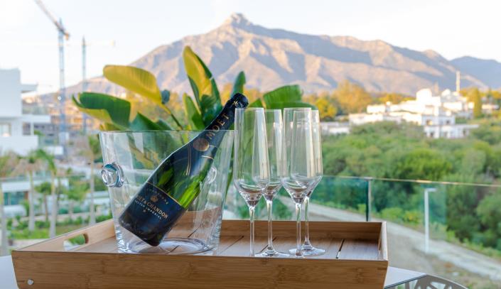 Image No.2-4 Bed Penthouse for sale