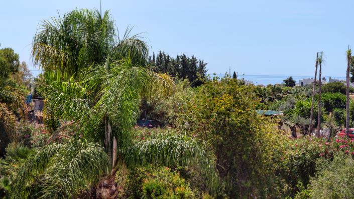 Image No.6-Villa de 9 chambres à vendre à Estepona