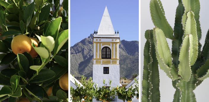 Image No.30-Penthouse de 3 chambres à vendre à Marbella