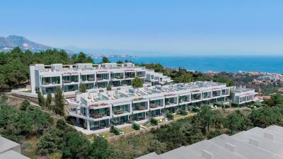 2k_-_azulea_04_gral_diag-1920x0