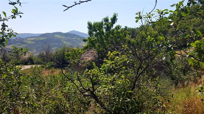 Image No.13-Villa / Détaché de 2 chambres à vendre à Gessopalena