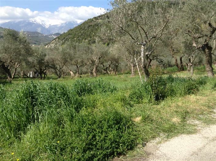 Image No.13-Villa / Détaché de 5 chambres à vendre à Casoli