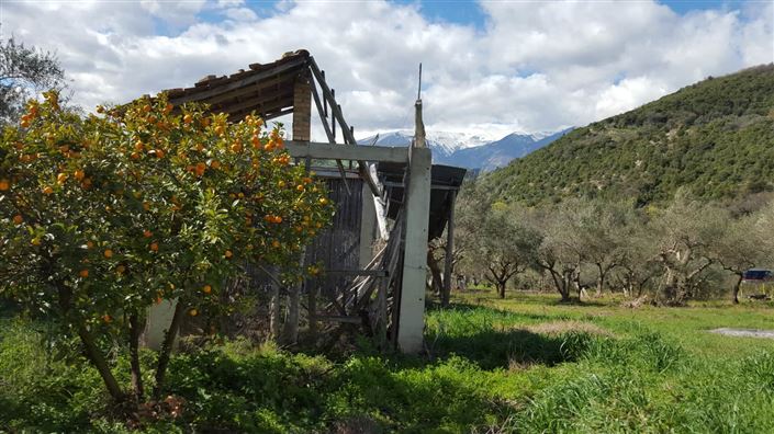 Image No.4-Villa / Détaché de 5 chambres à vendre à Casoli