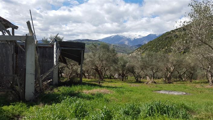 Image No.5-Villa / Détaché de 5 chambres à vendre à Casoli