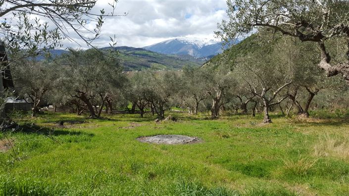 Image No.6-Villa / Détaché de 5 chambres à vendre à Casoli