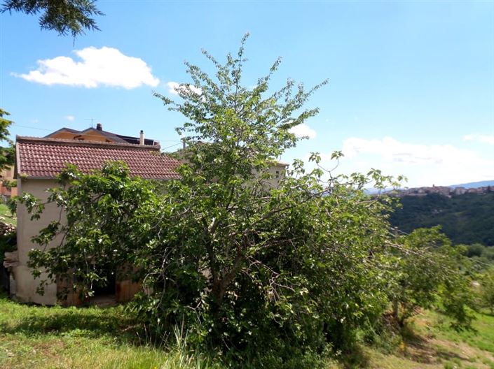Image No.12-Villa / Détaché de 3 chambres à vendre à Palombaro