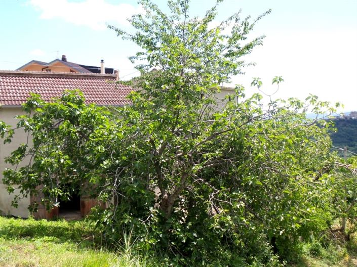 Image No.4-Villa / Détaché de 3 chambres à vendre à Palombaro