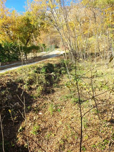 Image No.18-Villa / Détaché de 2 chambres à vendre à Fara San Martino