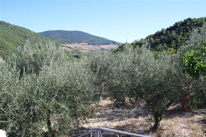 Image No.4-Villa / Détaché de 2 chambres à vendre à Colledimezzo