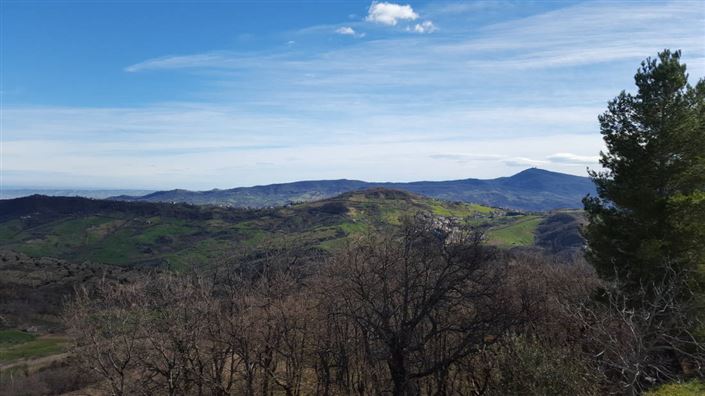 Image No.12-Maison de 3 chambres à vendre à Gessopalena
