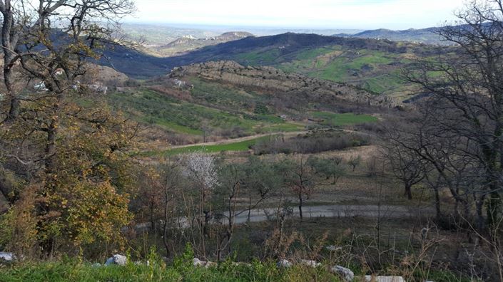 Image No.23-Maison de 3 chambres à vendre à Gessopalena