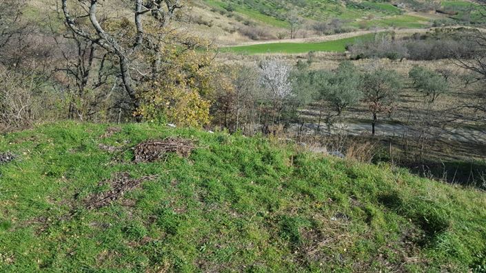 Image No.25-Maison de 3 chambres à vendre à Gessopalena