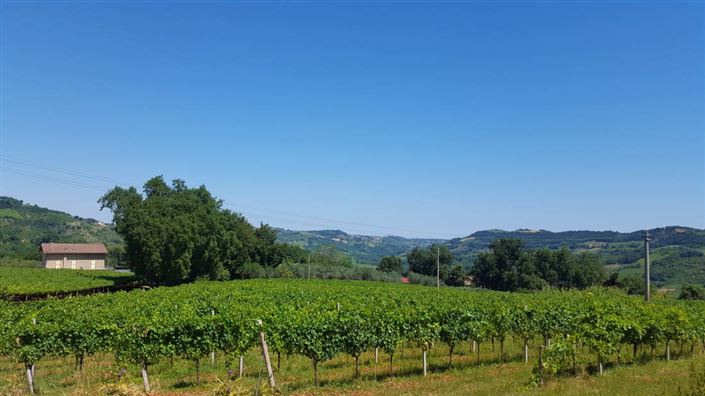 Image No.6-4 Bed Villa / Detached for sale