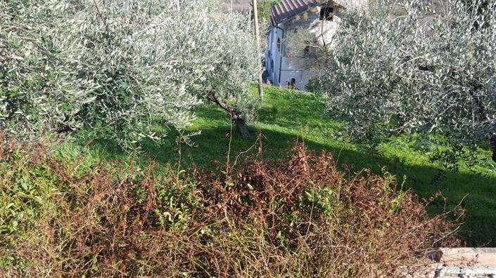 Image No.7-Villa / Détaché de 2 chambres à vendre à Palombaro