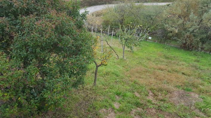 Image No.13-Villa / Détaché de 4 chambres à vendre à Abruzzes