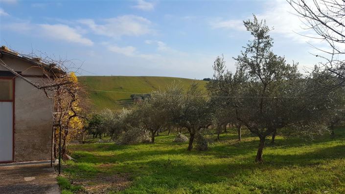 Image No.3-Villa / Détaché de 4 chambres à vendre à Abruzzes