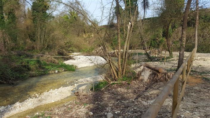 Image No.12-Villa / Détaché de 3 chambres à vendre à San Martino sulla Marrucina