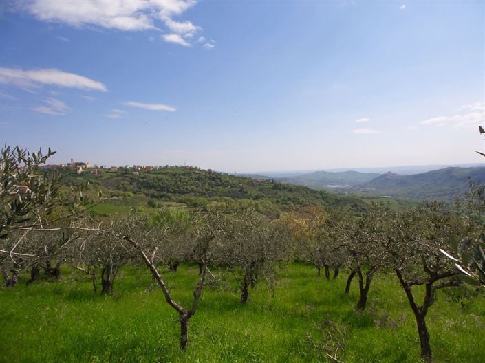 Image No.10-Villa / Détaché de 4 chambres à vendre à Palombaro
