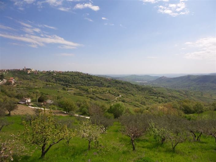 Image No.21-Villa / Détaché de 4 chambres à vendre à Palombaro