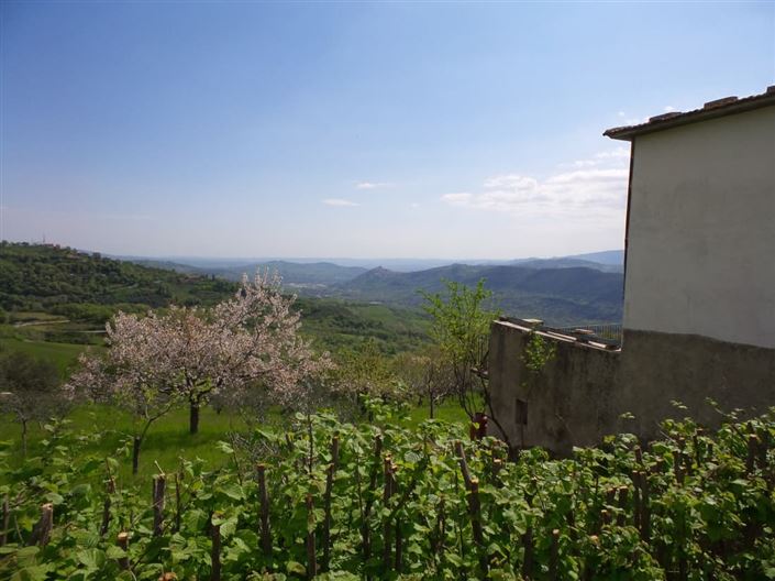 Image No.7-Villa / Détaché de 4 chambres à vendre à Palombaro