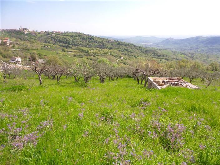 Image No.8-Villa / Détaché de 4 chambres à vendre à Palombaro