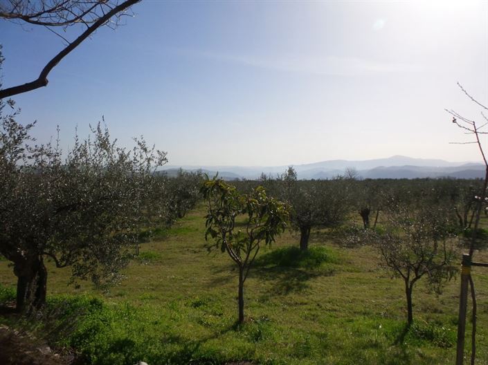 Image No.11-Villa / Détaché de 4 chambres à vendre à Palombaro