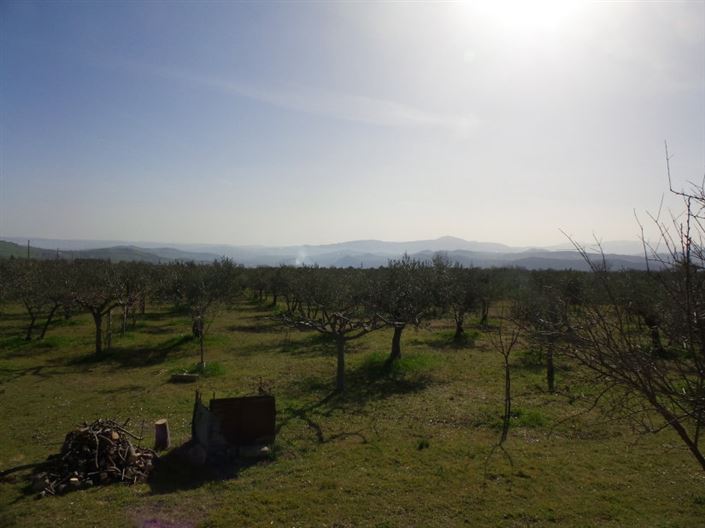 Image No.12-Villa / Détaché de 4 chambres à vendre à Palombaro