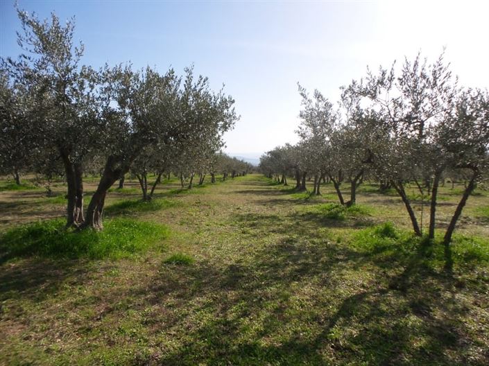 Image No.14-Villa / Détaché de 4 chambres à vendre à Palombaro
