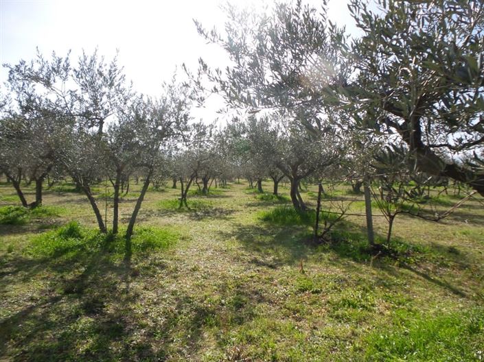 Image No.15-Villa / Détaché de 4 chambres à vendre à Palombaro