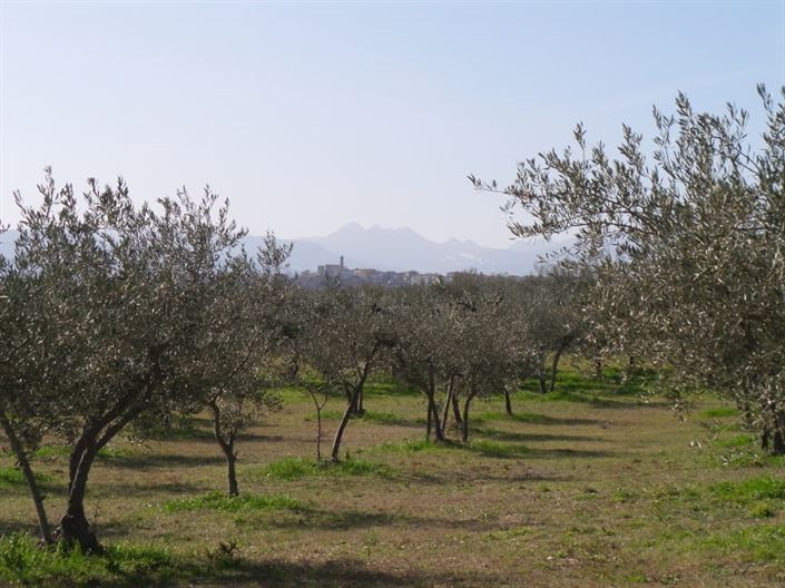 Image No.16-Villa / Détaché de 4 chambres à vendre à Palombaro