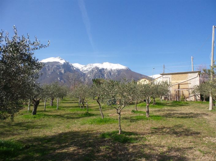 Image No.17-Villa / Détaché de 4 chambres à vendre à Palombaro