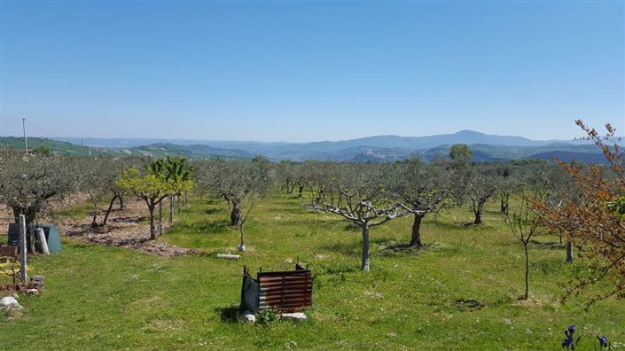 Image No.36-Villa / Détaché de 4 chambres à vendre à Palombaro