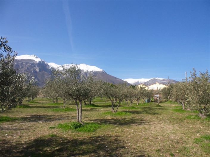 Image No.5-Villa / Détaché de 4 chambres à vendre à Palombaro