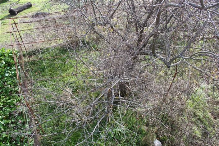 Image No.16-Maison de 3 chambres à vendre à Abruzzes
